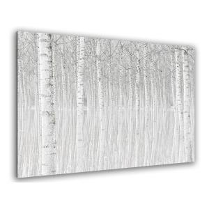 Tableau nature perspective trees toile imprimée 120x80cm