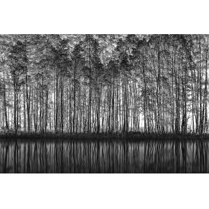 Tableau nature pointillisme impression sur aluminium 120x80…