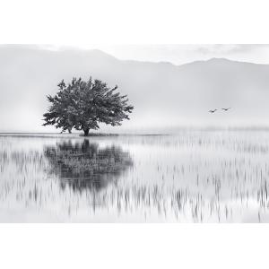 Tableau nature reflets d'eau impression sur alu 60x40 cm