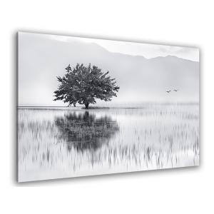 Tableau nature reflets d'eau imprimé sur toile 45x30cm