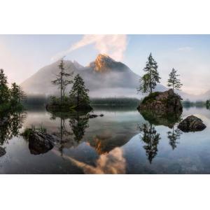 Tableau nature's awakening impression sur aluminium 120x80…