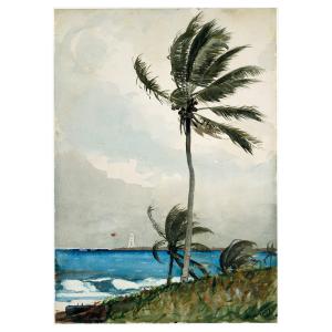 Tableau palmier, nassau Homer Winslow 50x70cm