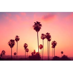 Tableau palmier rose ciel imprimé sur toile 90x60 cm