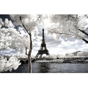 Tableau paris tour eiffel blanche  imprimé sur toile 90x60…