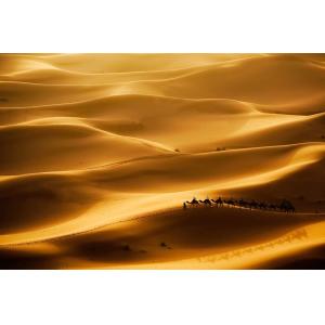 Tableau paysage le desert des nomades  imprimé sur toile 90…
