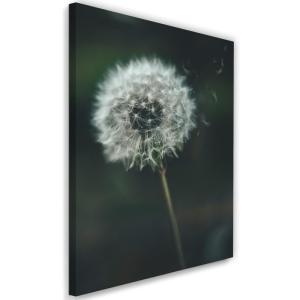 Tableau pissenlit 80 x 120 cm