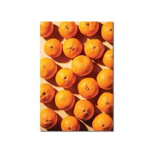 Tableau plexiglas cuisine orange vitaminée 30x50cm