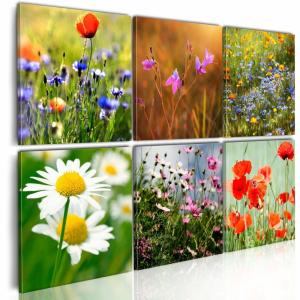 Tableau prairie multicolore 120 x 80 cm
