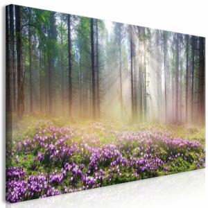Tableau prairie violette large 120 x 60 cm