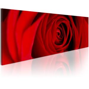 Tableau rose du nord 120 x 40 cm