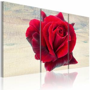 Tableau rose lyrique 120 x 80 cm
