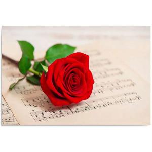 Tableau rose sur des notes 120 x 80 cm