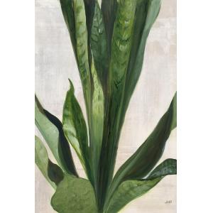 Tableau Sanseveria aquarelle imprimé sur toile 40x60 cm