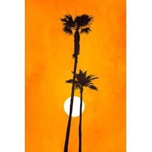 Tableau scandinave Sunset palm imprimé sur toile 30x45 cm