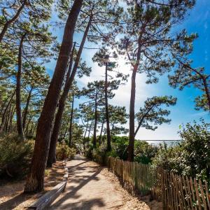 Tableau sur toile bassin d'Arcachon 90x90