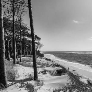 Tableau sur toile bassin d'Arcachon noir et blanc 45x45