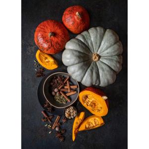 Tableau sur toile citrouilles 30x45
