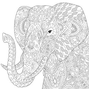 Tableau sur toile éléphant à colorier 30x30 cm