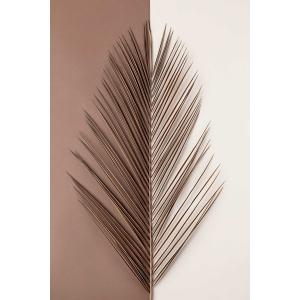 Tableau sur toile feuille de palmier 45x65cm