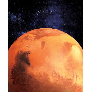 Tableau sur toile Mars 40x50