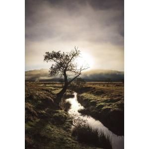 Tableau sur toile paysage brumeux 30x45