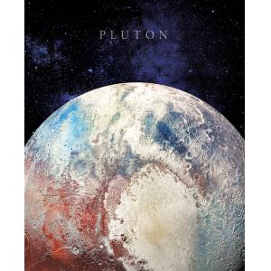 Tableau sur toile Pluton 40x50