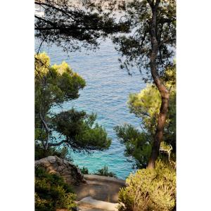 Tableau sur verre chemin vers les calanques 45x65