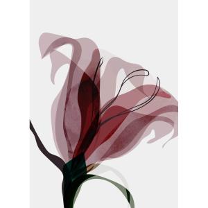 Tableau sur verre fleur abstraite 30x45 cm