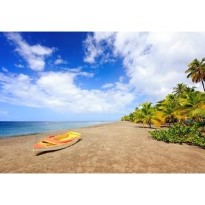 Tableau sur verre plage Anse Macabou Martinique 45x65 cm