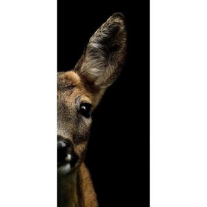 Tableau sur verre synthétique biche 65x145
