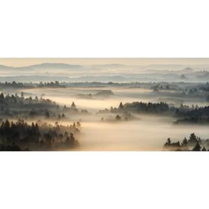 Tableau sur verre synthétique brume matinale 65x145
