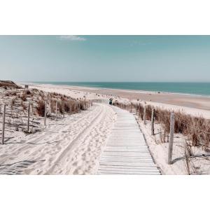 Tableau sur verre synthétique chemin de plage 80x120