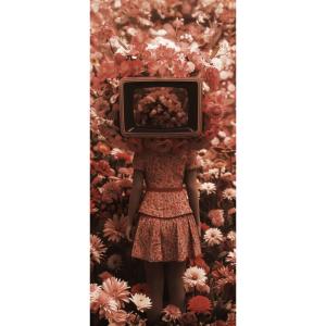 Tableau sur verre synthétique personnage à tête de télévisi…