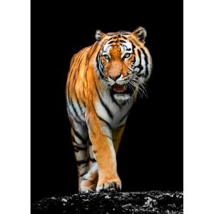 Tableau sur verre tigre précieux 45x65 cm