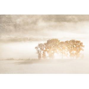 Tableau terre du vent impression sur aluminium 120x80 cm