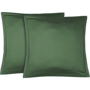 Taies d'oreiller (x2) 65x65 vert sauge