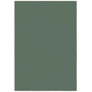 Tapis de salon doux vert 120x170 cm