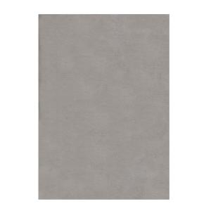 Tapis de salon moderne en Polyester Argent 80x150 cm