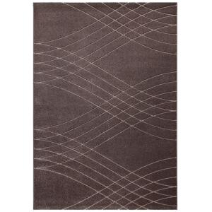 Tapis de salon moderne tissé plat Marron 060x120 cm