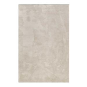Tapis doux polyester microfibre beige  200x290