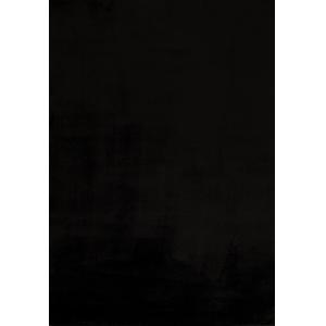 Tapis en polyester brillant motif uni noir 120x160