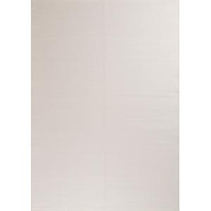 Tapis extérieur réversible motif uni - Blanc - 120x160 cm