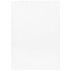 Tapis fausse Fourrure toucher doux Blanc 120x170cm