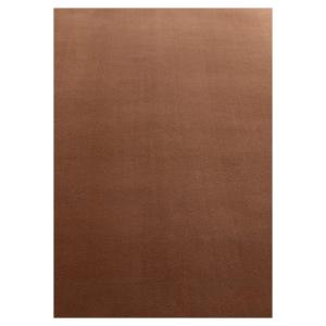 Tapis Lavable en microfibre douce - Marron 120x170cm