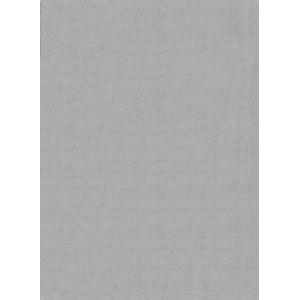 Tapis lavable moelleux élégant uni, Gris, 80 x 150 cm