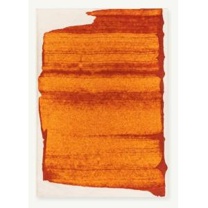 Tapis moderne tissé plat  orange 170x240 cm