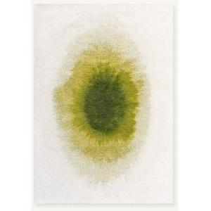 Tapis moderne tissé plat  Vert 170x240 cm