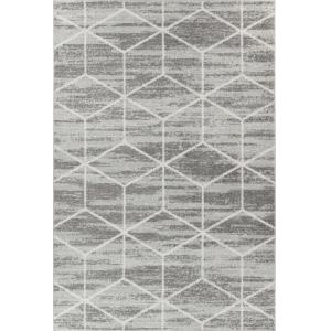 Tapis Scandinave Moderne Gris/Blanc 160x220