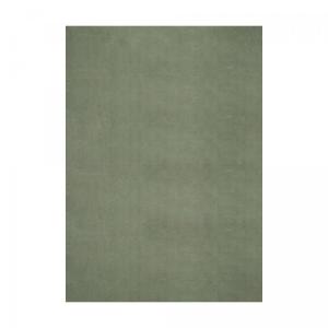 Tapis Shaggy à poils longs pour cuisine 120x160 Vert