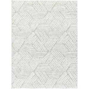 Tapis Shaggy Moderne Blanc/Gris 160x213